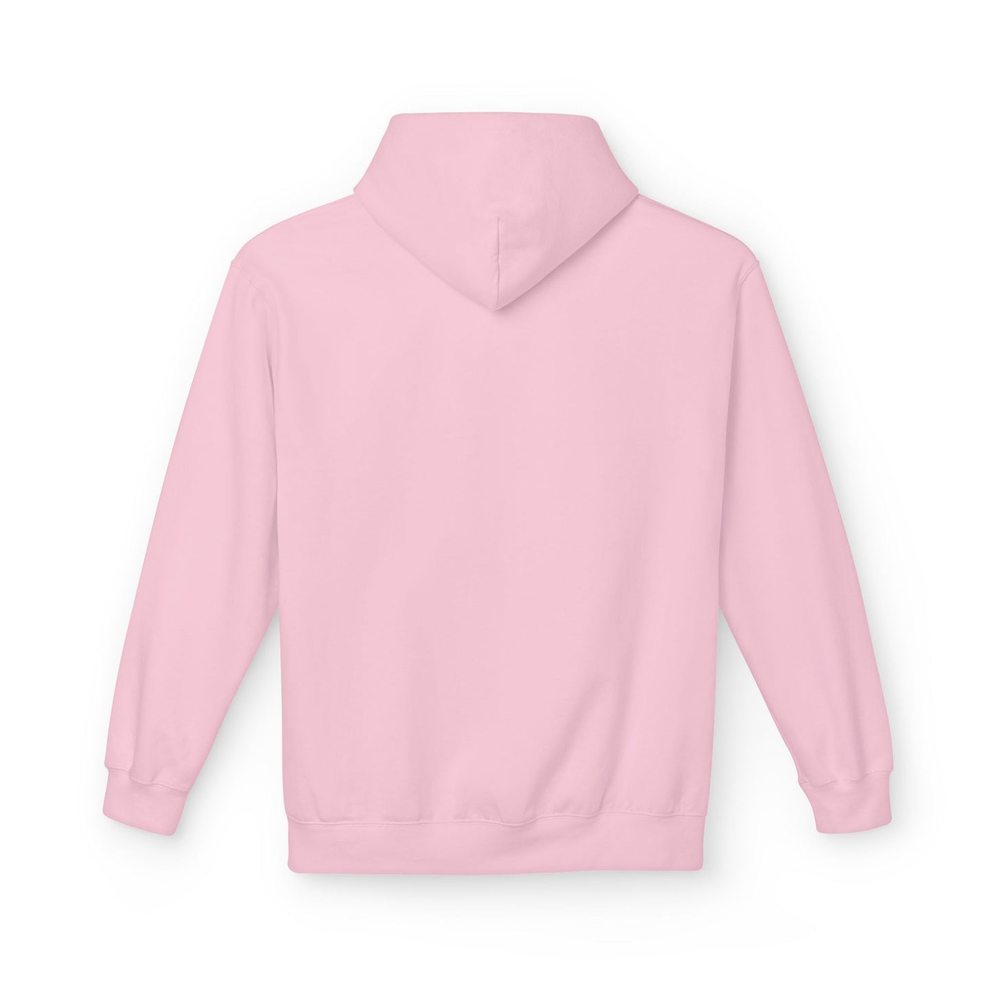 Duck Around and Find Out Hoodie